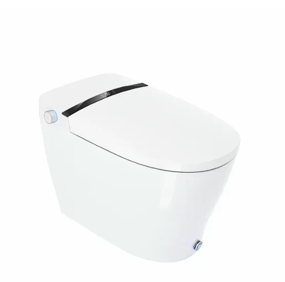 STREAMLINE Integrated Smart Toilet - SMT-DGD80