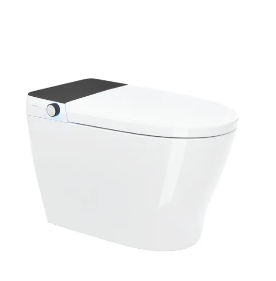 CANARY Integrated Smart Toilet - SMT-DQ100