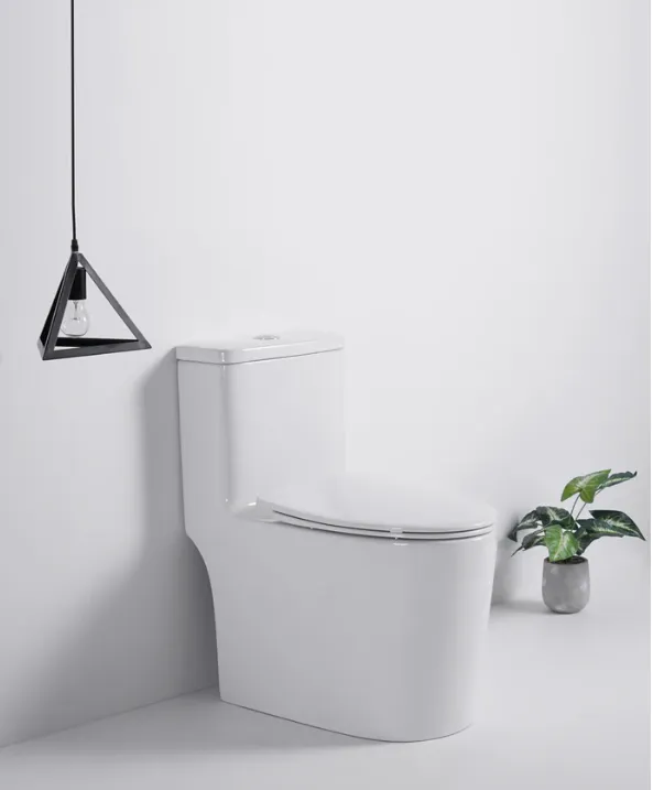 T-6636 One Piece Regular Toilet