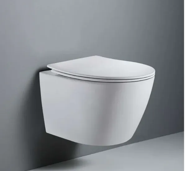 WHT-C1 Wall Hung Toilet Set Includes Toilet, Water Tank & Wall Panel